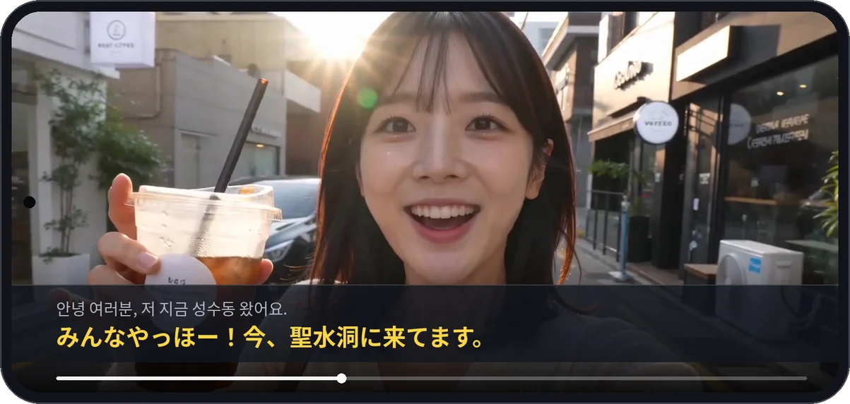 ほかの動画アプリの上にCCPlayの字幕ウィンドウが表示された実際の画面