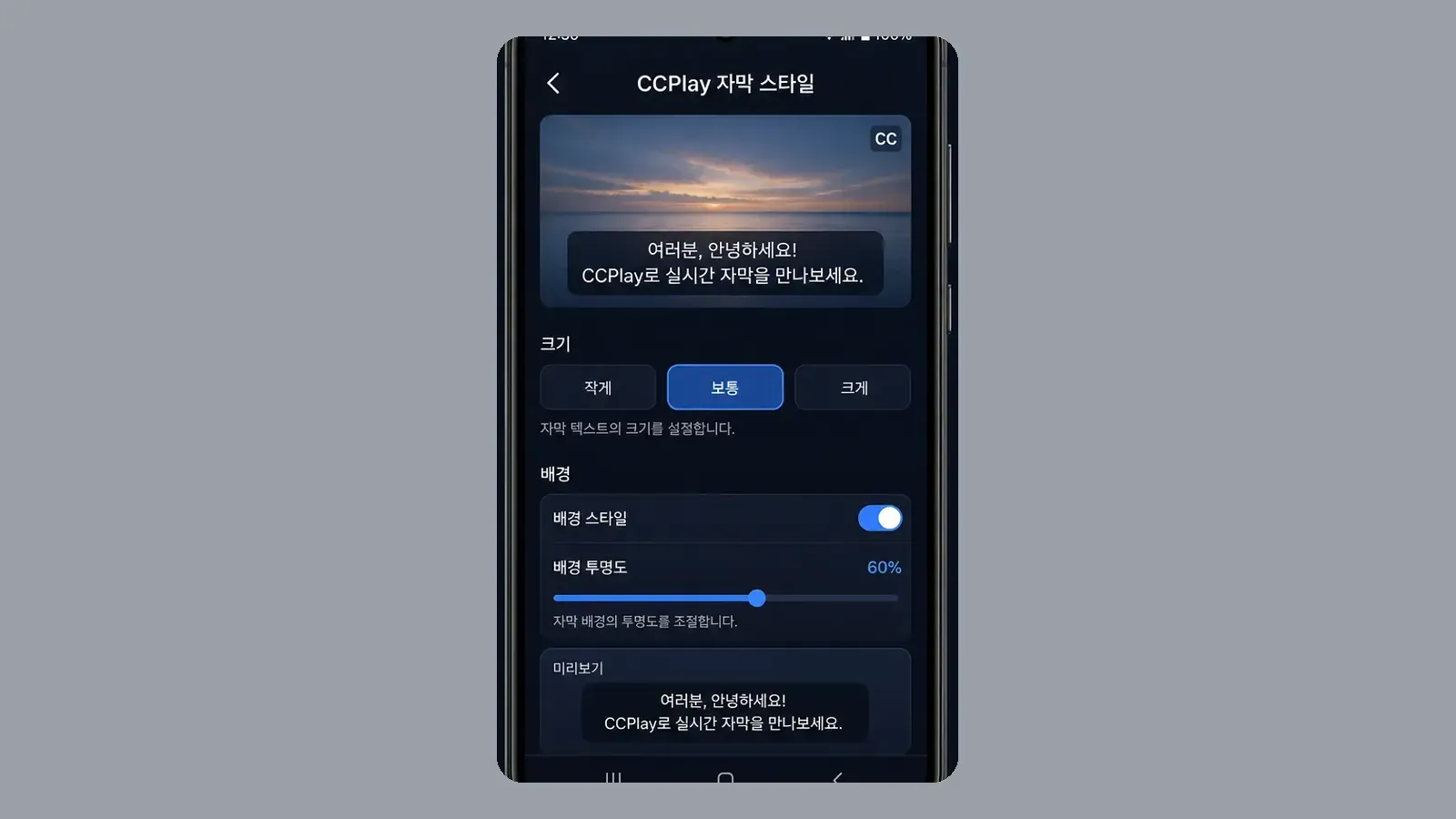 자막 스타일 설정과 상단 미리보기