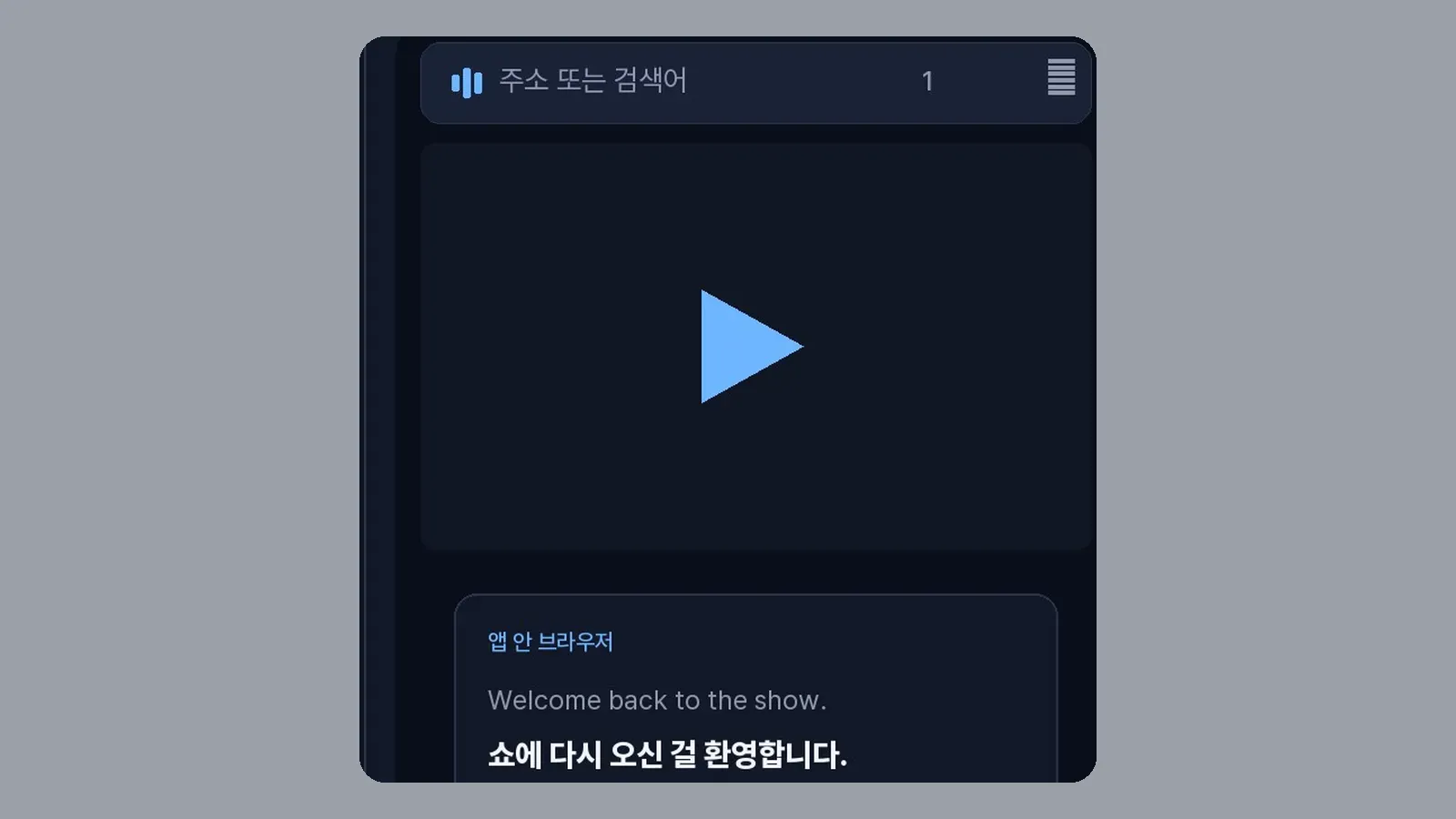 CCPlay 내장 브라우저 주소창과 자막 창