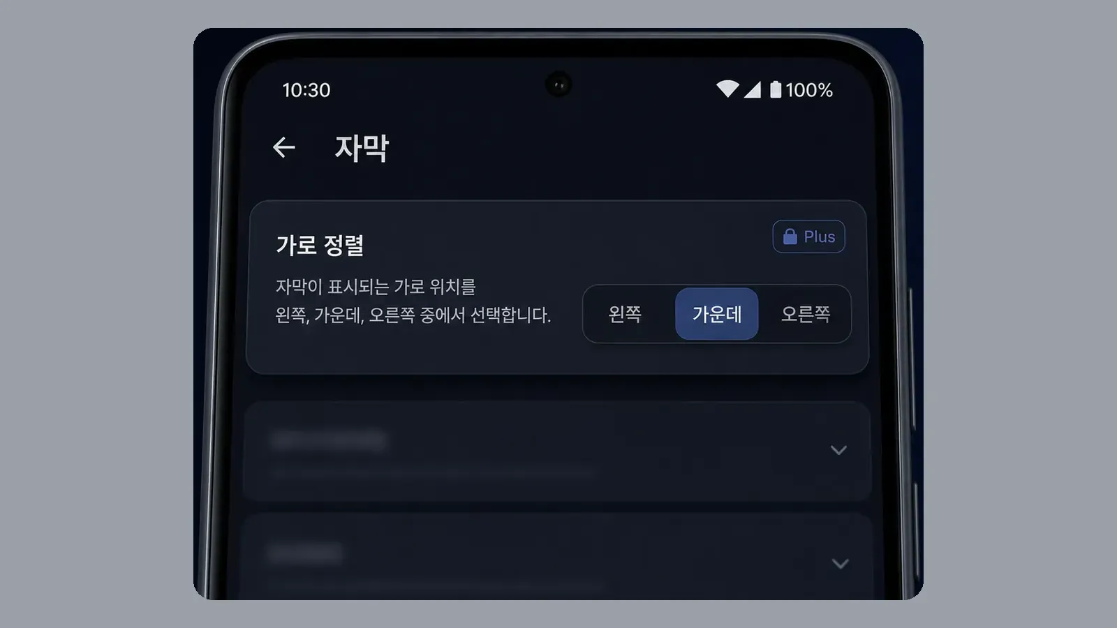 설정 자막의 가로 정렬 좌·가운데·오른쪽 Plus 항목
