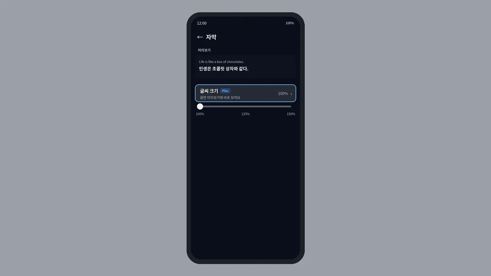 자막 미리보기와 글씨 크기 100% 슬라이더가 보이는 CCPlay 자막 설정 화면, 글자가 작게 보이는지 확인