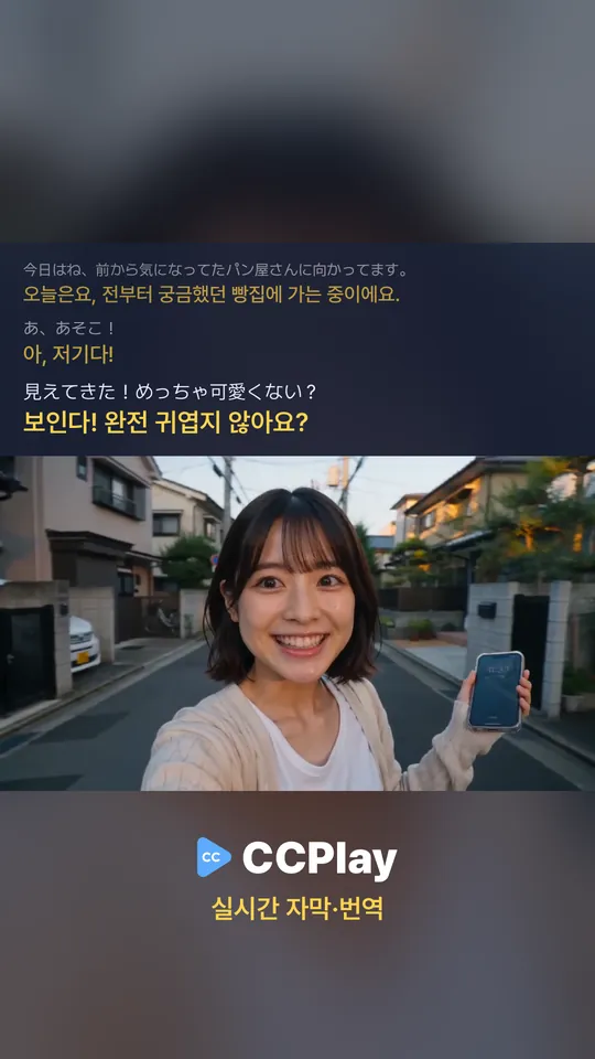 CCPlay가 일본어 브이로그 위에 한국어 자막을 띄운 실제 화면